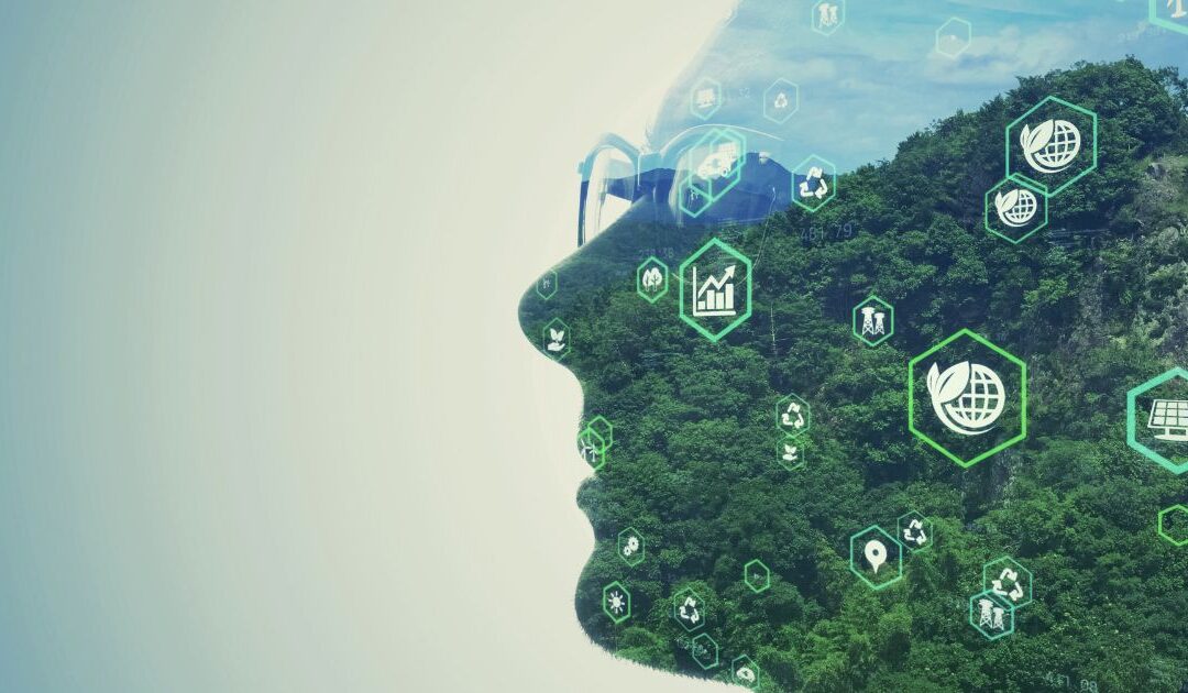 Redefining Sustainability Through the Human Lens