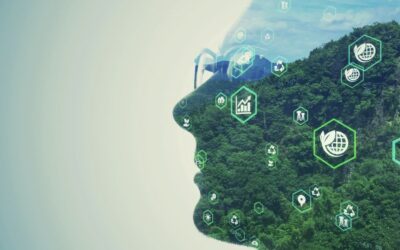 Redefining Sustainability Through the Human Lens